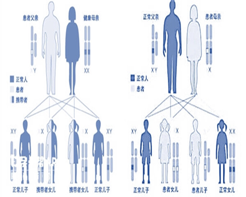 试管婴儿可以选女孩吗_做供精试管要多少钱_除胚胎质量外，还有什么原因会导