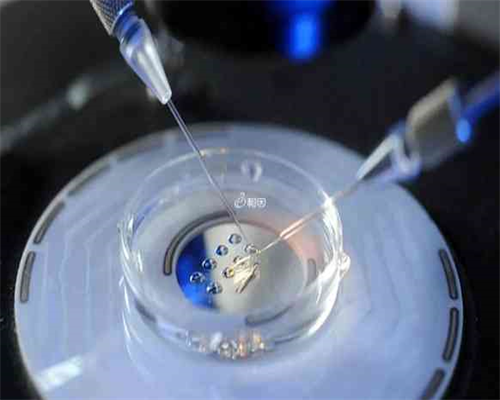 第三代试管婴儿服务_第三代试管婴儿就上海坤和_收藏!泰国试管婴儿花费多少钱