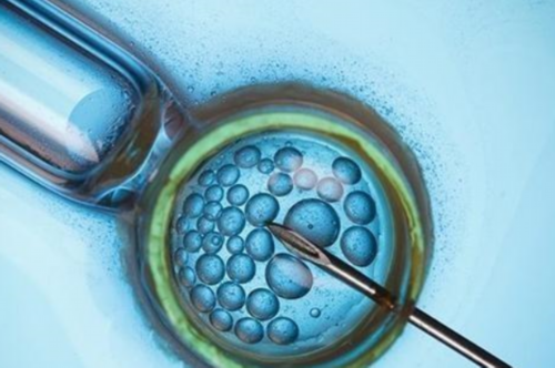 试管婴儿健康吗聪明吗_试管婴儿龙凤胎费用_ 做试管怎么防止基因突变？三代试