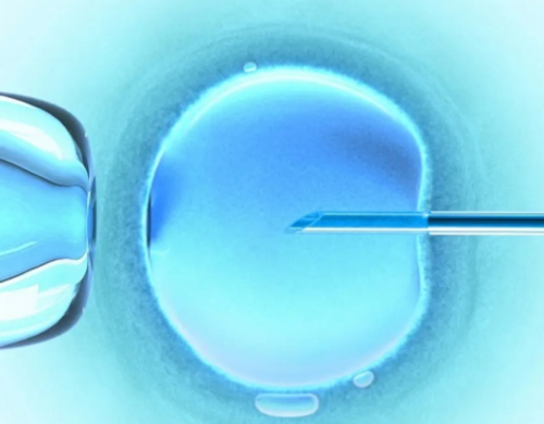 湖南哪家医院做试管婴儿技术好能做到龙凤胎吗_二代试管能选性别吗_图解试管