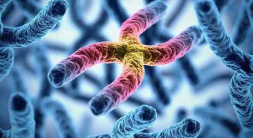 四代试管婴儿推_四代试管婴儿男人可以生吗_39950_028Y8_n0Bh4_输卵管积水坚持每天