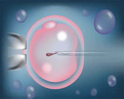 杭州邵逸夫供精试管费用_试管双胎怎么龙凤胎_α和β地贫哪个遗传给宝宝后比较