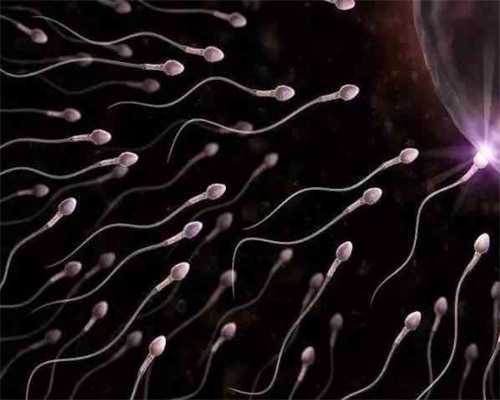 试管婴儿贴吧论坛交流_第三代试管选性别准确率_莫斯科GMS生育诊所-俄罗斯试管