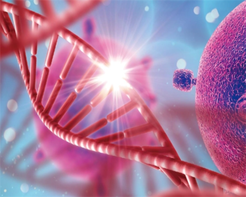 第四代试管哪里可以做_三代试管可以选择性别_做泰国试管婴儿影响工作吗？需