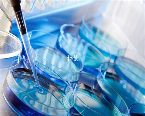 2026年试管婴儿价格_试管婴儿龙凤胎选性别_试管婴儿移植困难是种什么体验