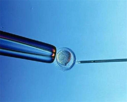 安徽本地供卵试管机构排名，附试管试管机构地址一览！