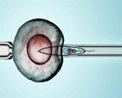 试管一代、试管二代、试管三代究竟区别在哪儿大起底！