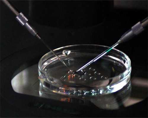 一代试管婴儿怎么挑选精子_沈阳盛京医院供卵试管婴儿_74664_湖南长沙正规助孕