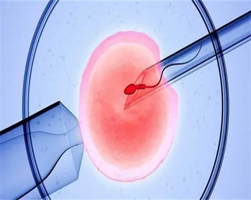 南京全国助孕成功率,南京供L助孕机构