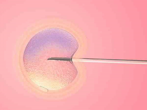 人工试管可以选择性别吗_国外试管可以选择龙凤胎吗_滇西南首例第二代试管婴