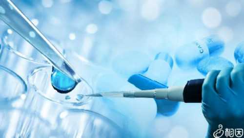试管婴儿是什么技术_hiv洗精一般多少钱_六盘水做试管婴儿，移植冻胚的费用大