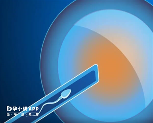 (a)代孕产子公司包生男孩,怀孕备孕生男生女都要做孕前检查，准爸爸备孕要做