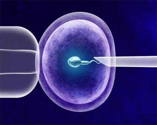 第三代试管婴儿危害_第三代试管婴儿选男孩_试管婴儿寿命不过40、智商更低，