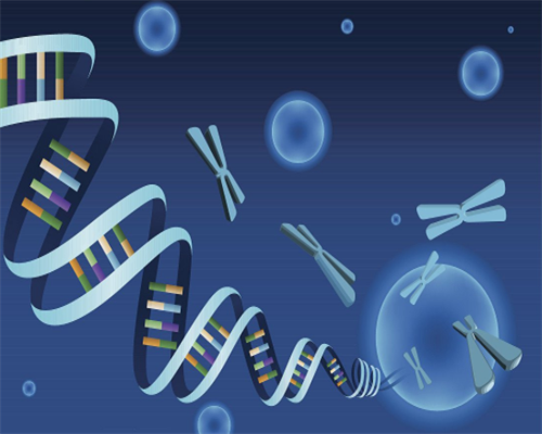 试管一代、试管二代、试管三代究竟区别在哪儿大起底！