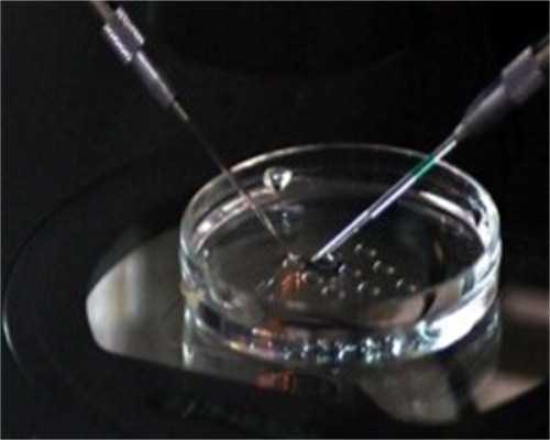 试管三代筛查需要几天_第三代试管婴儿生男孩_【28岁供卵试管成功率高吗】愿