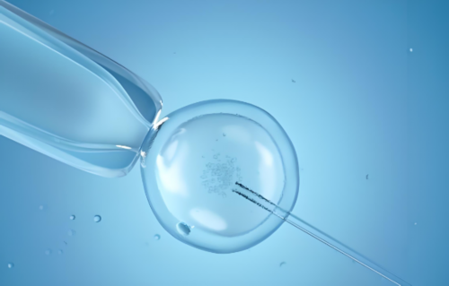 南京哪里代怀最便宜 南京妇幼保健院推荐理由 ‘男孩女孩三个月b超图’