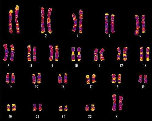 南京助孕可以龙凤胎吗 南京试管婴儿私立医院成功率 ‘生男孩的孕囊数据图’