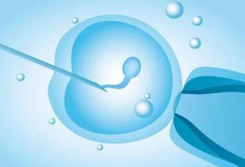 试管婴儿龙凤胎几率有多大_试管婴儿流程步骤图_我月经不调，到现在8年，没怀