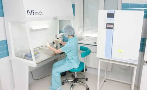 试管移植能选性别吗_试管婴儿可以做龙凤胎需要多少钱_女子在沈阳九州做试管