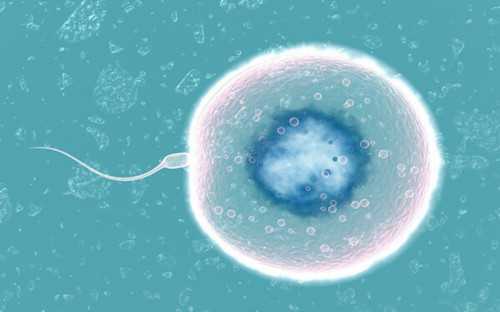 南京代孕试管费用 南京做三代试管婴儿哪个医院好? ‘nt看男女双顶径’