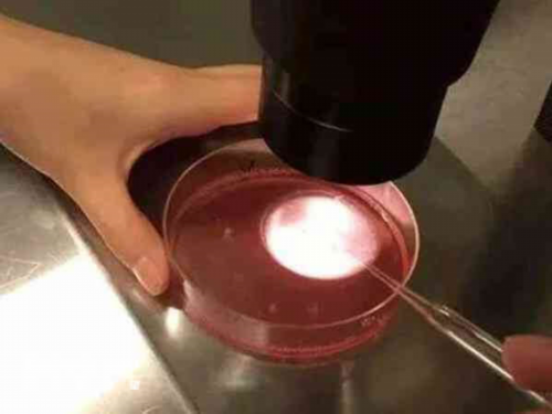 “沉浸式培训学到真本事”——沈阳社区工作者实地见学见闻