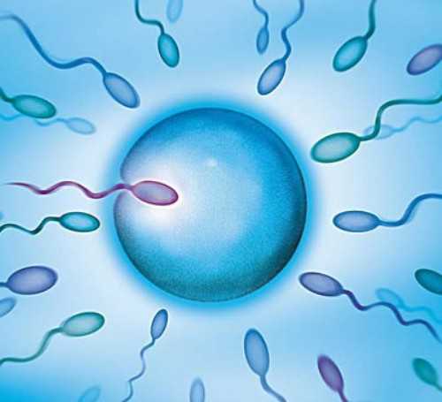 珠海三代试管助孕的费用构成有哪些？,珠海试管私人机构可靠吗？