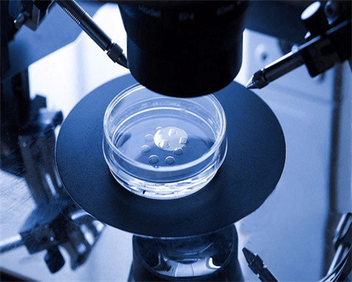 试管婴儿全国十大排名_试管婴儿可以选择双胞胎吗_做试管婴儿怀多胎后为什么