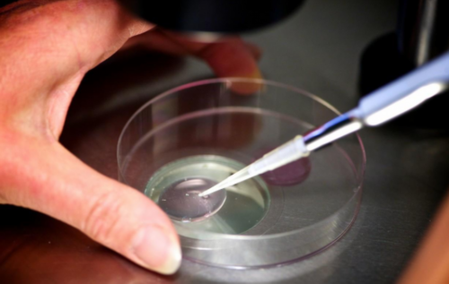 [南京试管婴儿选供精子的过程]_3vfk7_o1317_Cl16h_健康周刊地贫父母可孕育健康宝宝