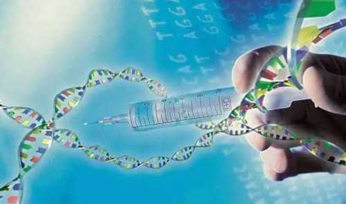 试管婴儿可以做龙凤胎多少钱_湘雅医院试管可以选择男女吗_Sncw0_孕32周b超显示