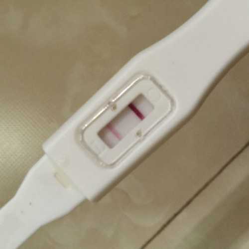 女性的卵泡期是指月经期吗