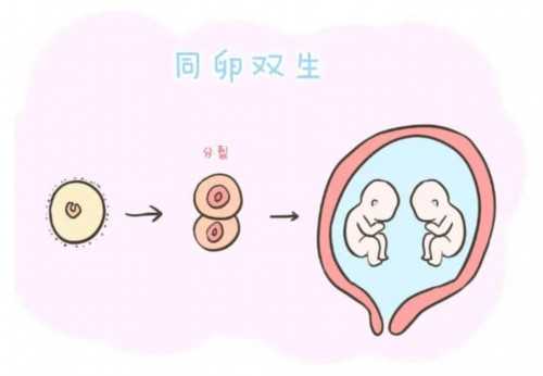 湖北有哪些知名的试管婴儿医院？?,2026 年湖北生殖中心医院成功率排名，广医