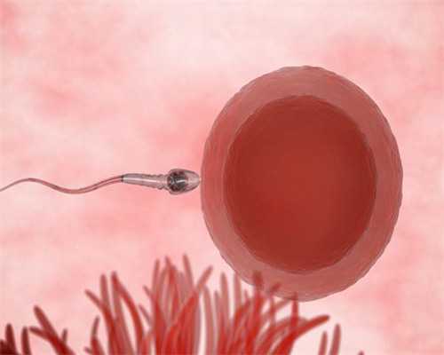 借卵试管医院_为了生男孩选择试管国外_网传有人吃参茸保胎丸导致胎儿畸形是