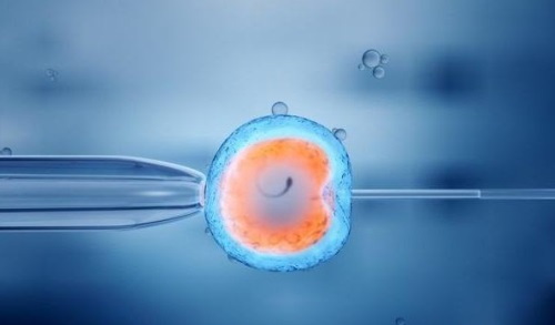 哪个医院包试管成功_试管婴儿技术的现状_美国试管婴儿基因检测助卵巢囊肿患