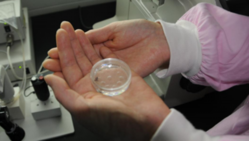 试管婴儿可以选择双胞胎吗_哪里做试管婴儿好包成功的_医生建议直接做试管婴