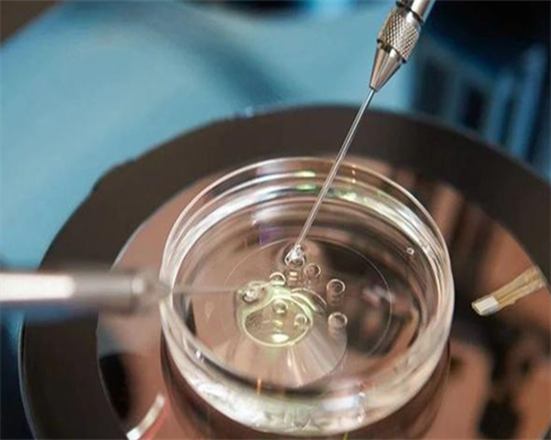 月经期是卵泡期吗 卵泡期同房会怀孕吗