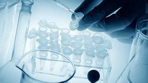 试管婴儿筛选性别费用大约多少_试管婴儿可以挑选性别吗_怎么通过B超检查判断