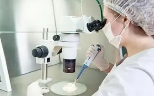 试管婴儿能选男女吗_在唐都医院供精试管需要多钱_vMOt6_5年备孕无果因巧克力囊