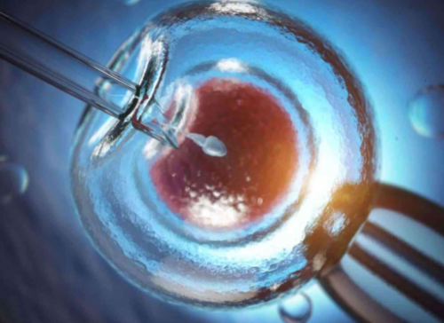 南京三代试管pgd会成功 南京试管婴儿医院推荐： ‘三十多天的孕囊形状能看出