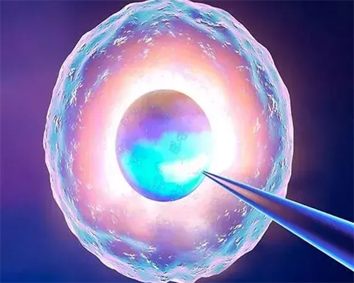 南京45万包成功 2026年南京其他能做试管的医院 ‘如何通过nt图看男女’