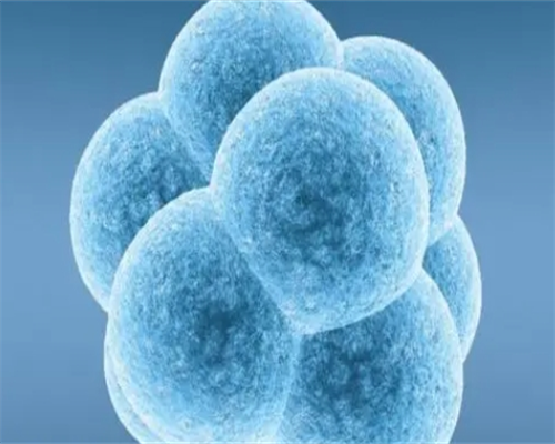 试管供精什么意思_夫妻正常做试管男孩多少钱选优贝贝助孕_试管婴儿：从“羞