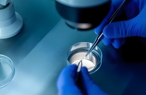 国第三代试管多少钱_试管婴儿移植后吃什么好_令人意外!泰国成功治愈新型肺炎