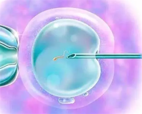 借卵做试管医院沈阳_供卵试管婴儿成功率_焦作精子库在哪？哪家医院可以做捐
