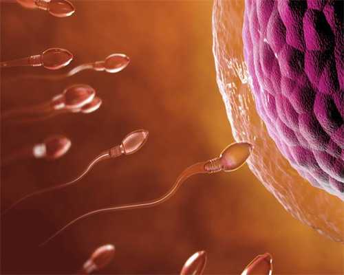 试管婴儿费用介绍_第二代试管婴儿的性别比_泰国试管婴儿如何为无精症患者取