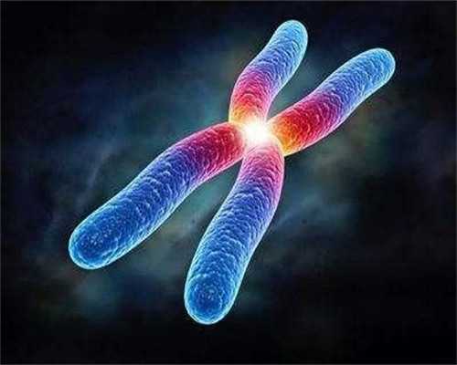 供精可以做三代试管吗_多次试管后生下龙凤胎感言_吃白藜芦醇对试管婴儿的作