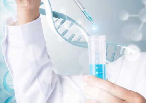 试管三代的费用是多少_试管婴儿移植论坛_福州900医院可以申请供卵做试管吗？