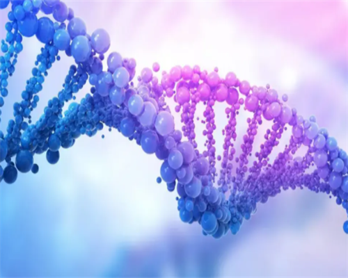 试管婴儿费用医保报销吗_试管婴儿论坛天涯论坛_试管婴儿移植已成功后为什么