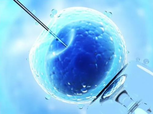 试管婴儿能决定龙凤胎吗_泰国借卵子试管婴儿流程_武汉同济医院生殖科做试管