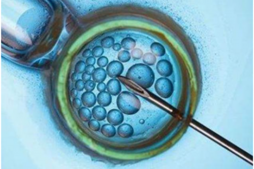 为什么试管很多龙凤胎_做试管婴儿可以自己选择第几代吗_南宁三代试管婴儿医