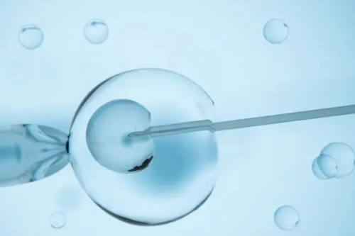 第三代试管婴儿优点_第三代试管婴儿的流程_【台湾供卵做试管需要等多久】官