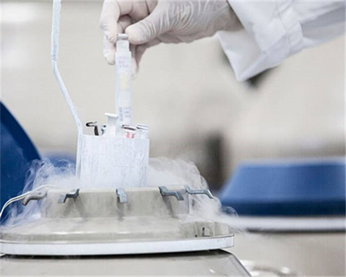 供卵试管婴儿成功率_试管婴儿可以挑男女吗_Jetanin杰特宁试管婴儿专科医院